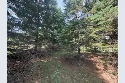 Abc County 2, Nevis, MN 56467 - Photo 15