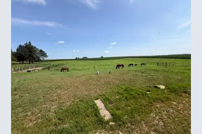12570 County 23, Canton, MN 55922 - Photo 23
