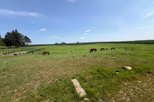 12570 County 23, Canton, MN 55922 - Photo 23