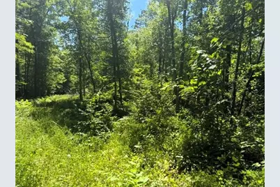 Tbd River Lane, Fifty Lakes, MN 56448 - Photo 13