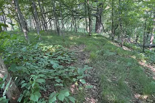 320th 320th St, Browerville, MN 56438 - Photo 1