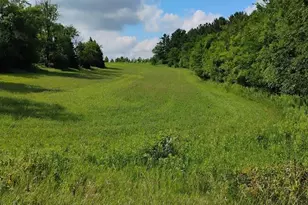 2989 140th St E, Dundas, MN 55019 - Photo 115