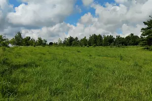 2989 140th St E, Dundas, MN 55019 - Photo 121