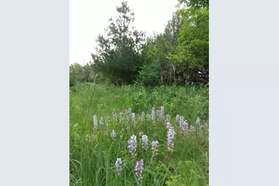 2989 140th Street E, Dundas, MN 55019 - Photo 111