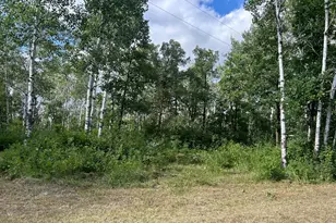 15891 450th St NW, Karlstad, MN 56732 - Photo 21