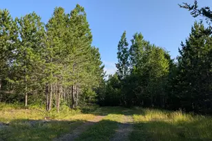 Lot A Hwy 24, Orr, MN 55771 - Photo 1