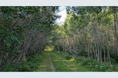 Lot A Hwy. 24, Orr, MN 55771 - Photo 9