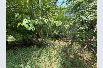 Tbd Breezy Point Boulevard, Breezy Point, MN 56472 - Photo 3
