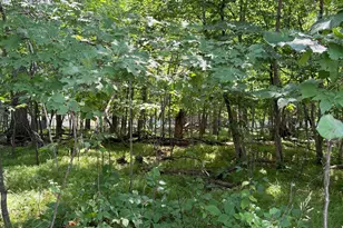 Tbd Breezy Point Blvd, Breezy Point, MN 56472 - Photo 1
