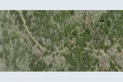 Lot B Hwy. 24, Orr, MN 55771 - Photo 3