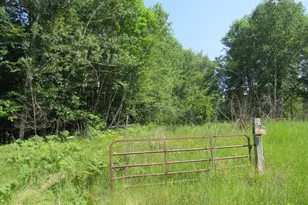 Tbd County Rd 137, Moose Lake, MN 55767 - Photo 1
