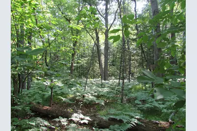 Tbd County Rd 137, Moose Lake, MN 55767 - Photo 3