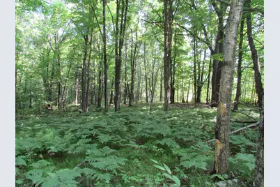 Tbd County Rd 137, Moose Lake, MN 55767 - Photo 21