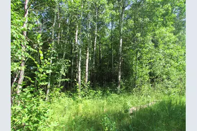 Tbd County Rd 137, Moose Lake, MN 55767 - Photo 17