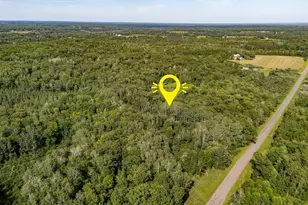 Tbd County Rd 137, Moose Lake, MN 55767 - Photo 1