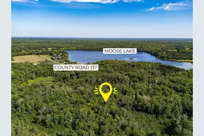 Tbd County Rd 137, Moose Lake, MN 55767 - Photo 13