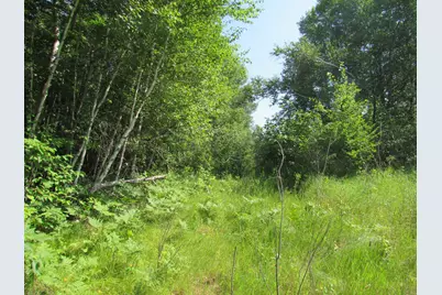 Tbd County Rd 137, Moose Lake, MN 55767 - Photo 15