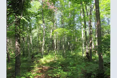 Tbd County Rd 137, Moose Lake, MN 55767 - Photo 5
