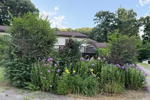 24251 315th Ave, Long Prairie, MN 56347 - Photo 39