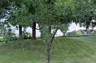 24251 315th Ave, Long Prairie, MN 56347 - Photo 41