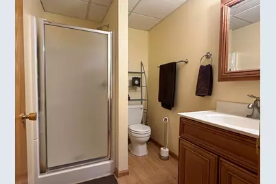 24251 315th Avenue, Long Prairie, MN 56347 - Photo 31