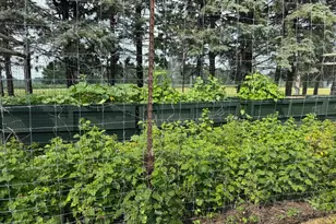 14563 125th Ave, Wadena, MN 56482 - Photo 33