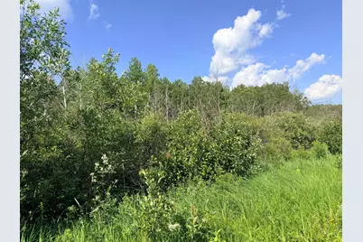 12Xxx Butterfield Road, Hibbing, MN 55746 - Photo 11