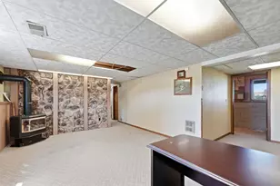 42684 245th St, Belgrade, MN 56312 - Photo 53