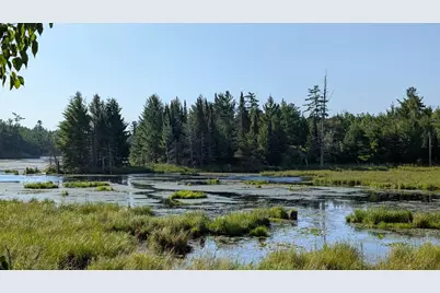 Lot C Hwy. 24, Orr, MN 55771 - Photo 7
