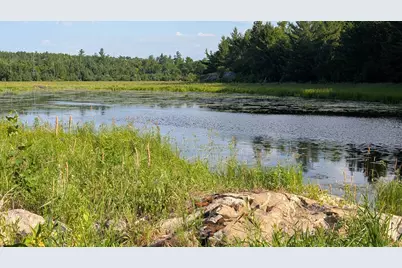 Lot C Hwy. 24, Orr, MN 55771 - Photo 5