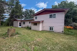 42869 County 2, Leonard, MN 56652 - Photo 3