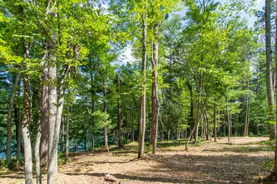 5778 S Bass Lake Road NE, Remer, MN 56662 - Photo 35