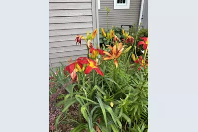 6907 Bluff Lane NW, Rochester, MN 55901 - Photo 89
