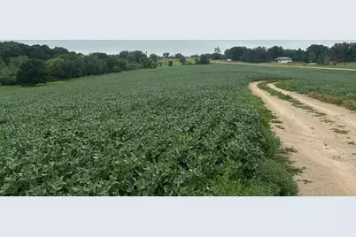 22921 County 10, Long Prairie, MN 56347 - Photo 17