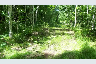 Xxx Bashaw Store Rd, Shell Lake, WI 54871 - Photo 31