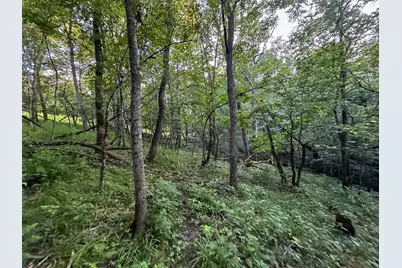 Tbd Sunset Trail, Welch Township, MN 55089 - Photo 31