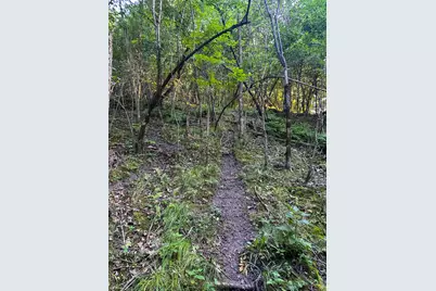 Tbd Sunset Trail, Welch Township, MN 55089 - Photo 45