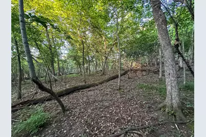 Tbd Sunset Trail, Welch Township, MN 55089 - Photo 29