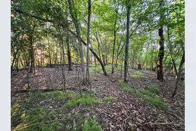 Tbd Sunset Trail, Welch Township, MN 55089 - Photo 39