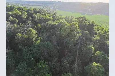 Tbd Sunset Trail, Welch Township, MN 55089 - Photo 9