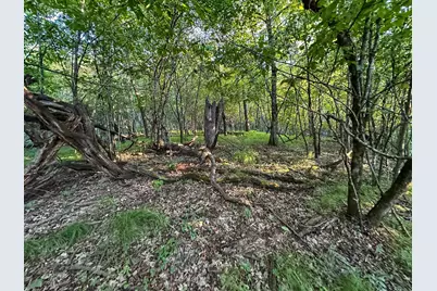 Tbd Sunset Trail, Welch Township, MN 55089 - Photo 23