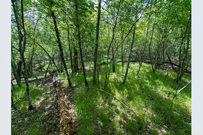 Tbd Sunset Trail, Welch Township, MN 55089 - Photo 13