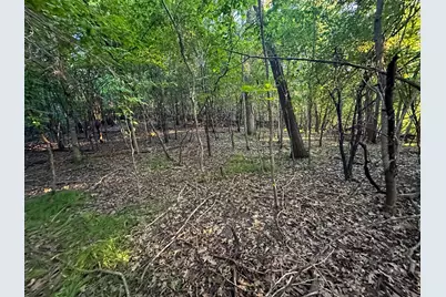 Tbd Sunset Trail, Welch Township, MN 55089 - Photo 43