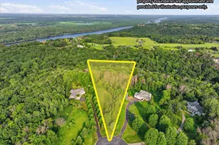 Tbd 446 Ave, Prescott, WI 54021 - Photo 1