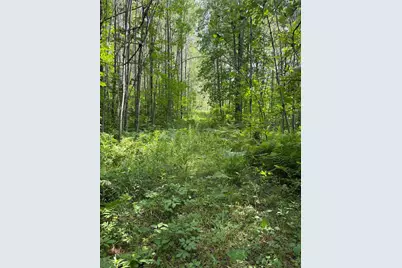 560th Street, Palisade, MN 56469 - Photo 1