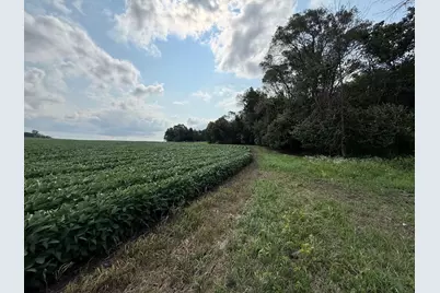 Lot A Lehigh Road, Cottage Grove, MN 55016 - Photo 5