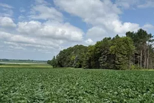Lot B Lehigh Rd, Cottage Grove, MN 55016 - Photo 1
