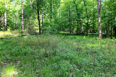 4294 Nod A Way Drive, Nisswa, MN 56468 - Photo 7
