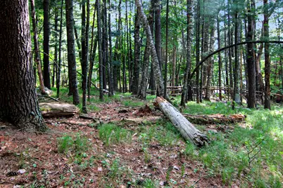 4294 Nod A Way Drive, Nisswa, MN 56468 - Photo 5