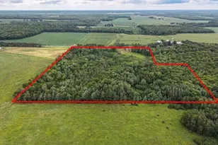 17028 W State Hwy 64, Gilman, WI 54433 - Photo 41